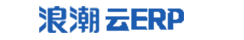 pgӹ ERP