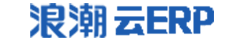 pgӹ ERP
